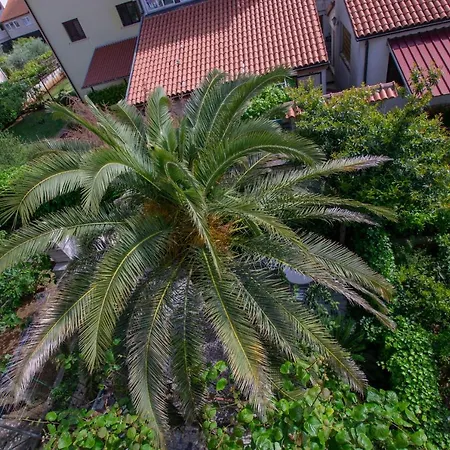 Cozy With Breakfast On Request 1 * Pula